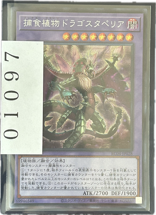 ストレージ①-01097