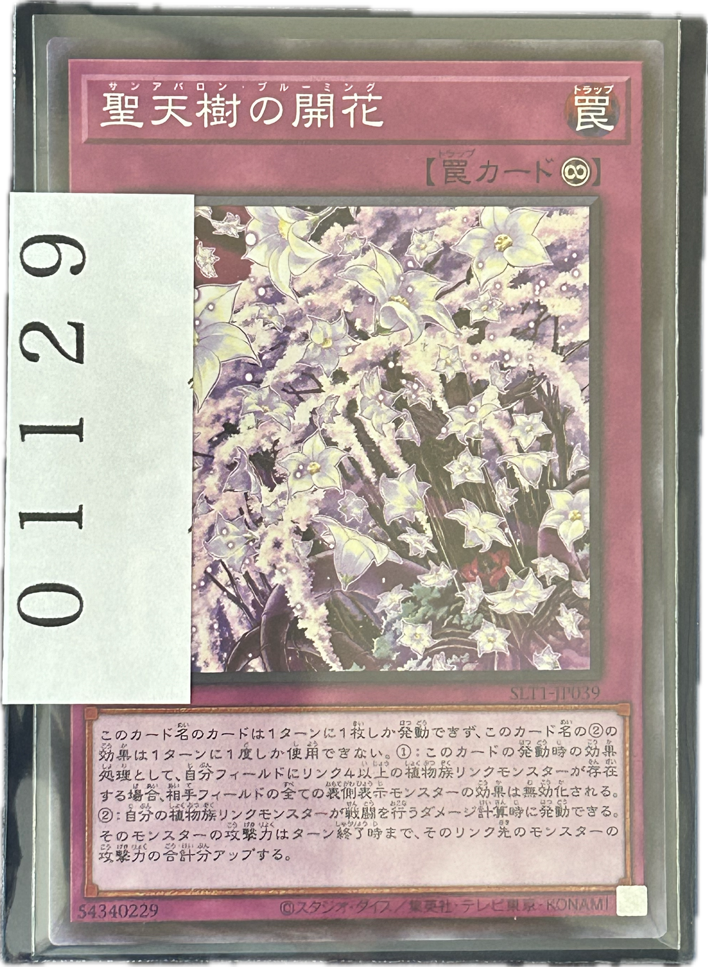 ストレージ①-01129