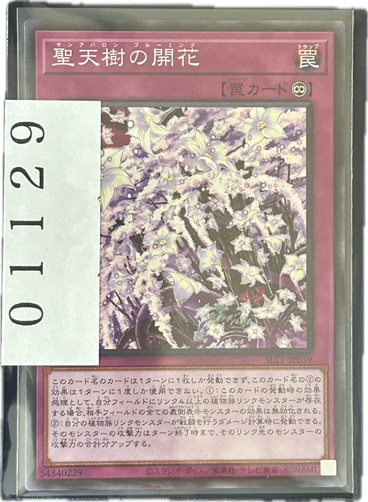 ストレージ①-01129