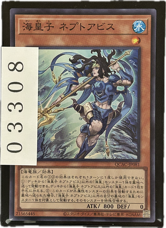 ストレージ①-03308