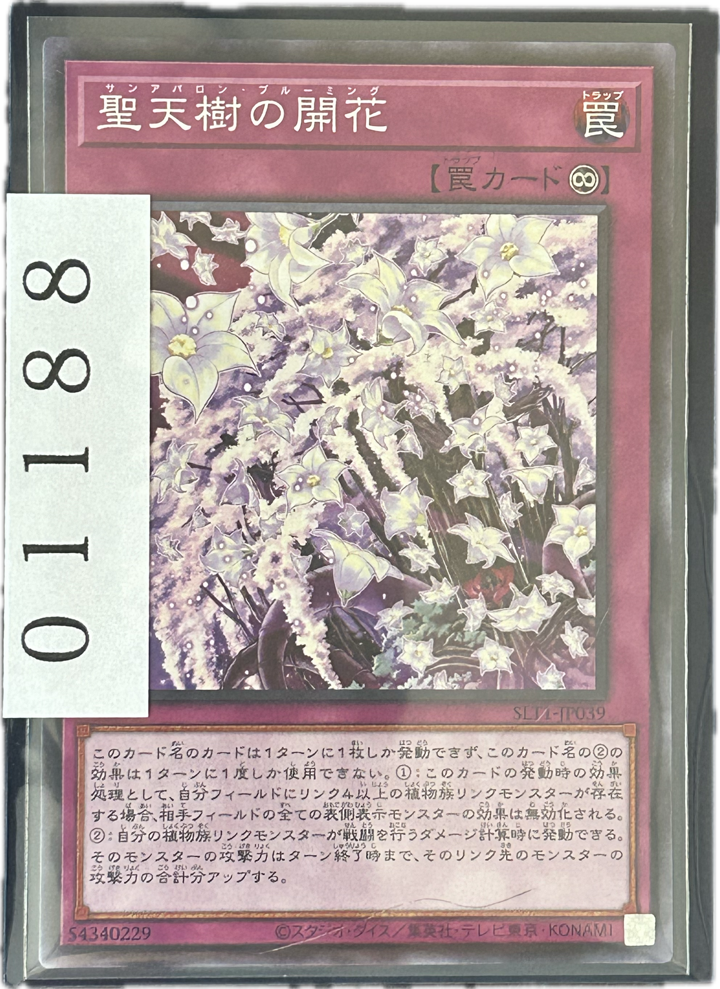 ストレージ①-01188