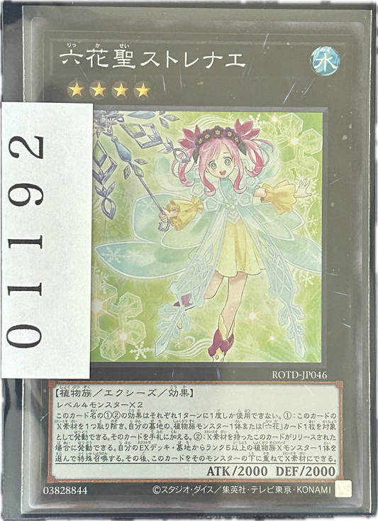 ストレージ①-01192