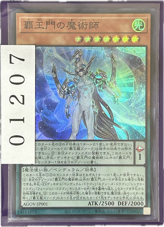 ストレージ①-01207