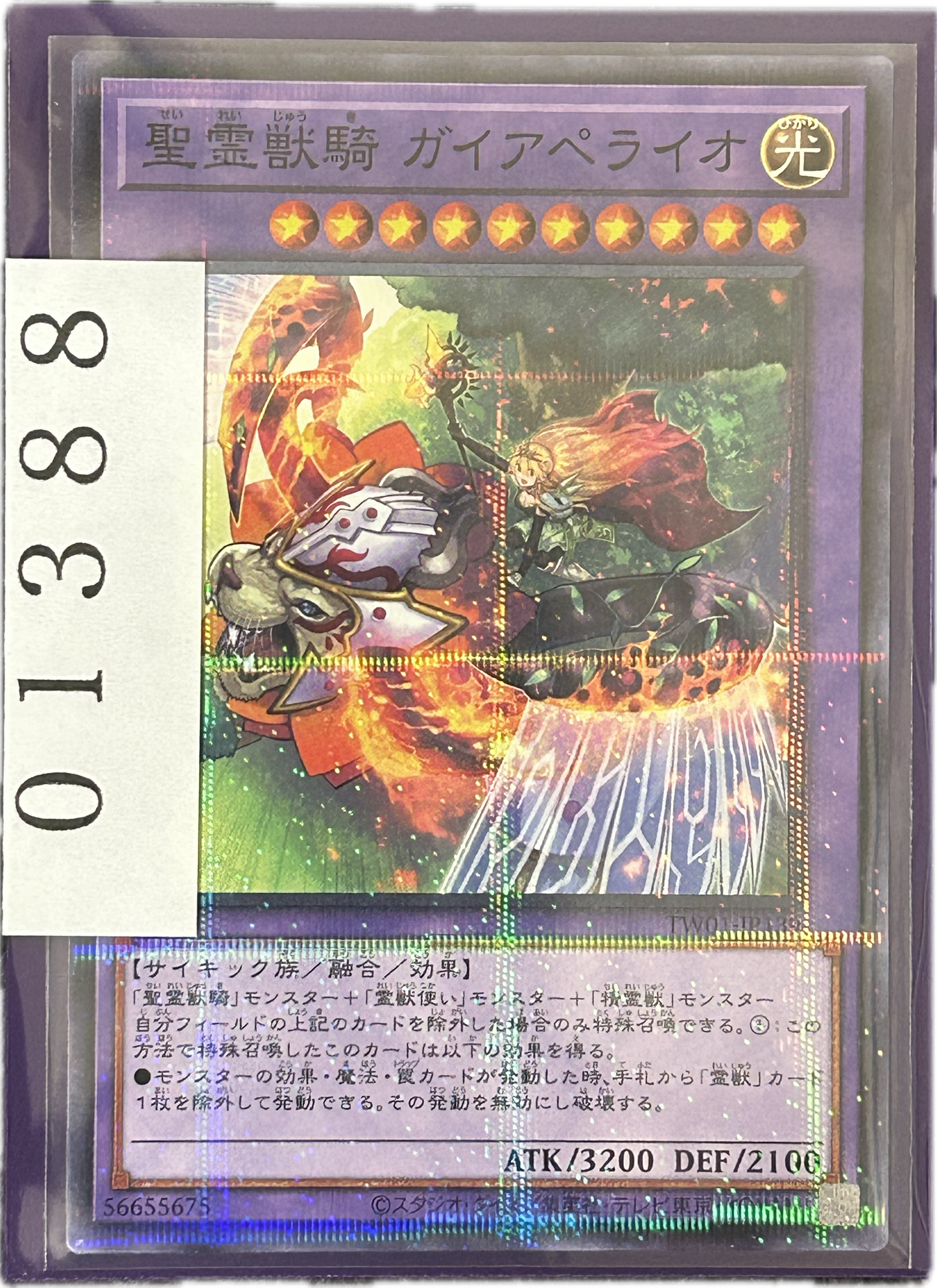 ストレージ①-01388
