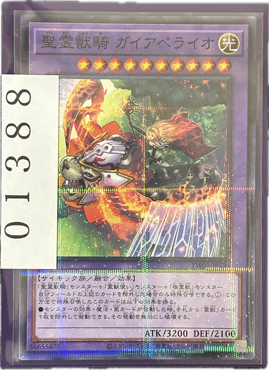ストレージ①-01388
