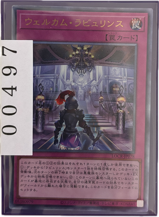 ストレージ①-00497