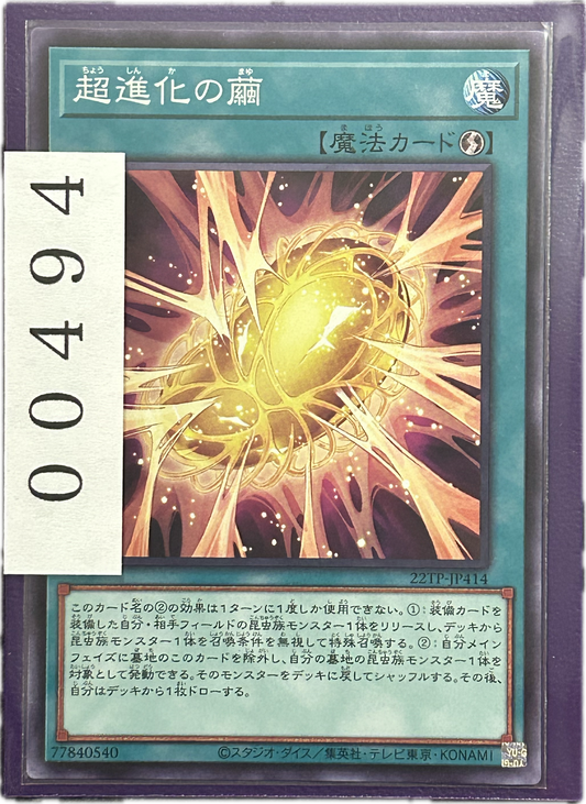 ストレージ①-00494