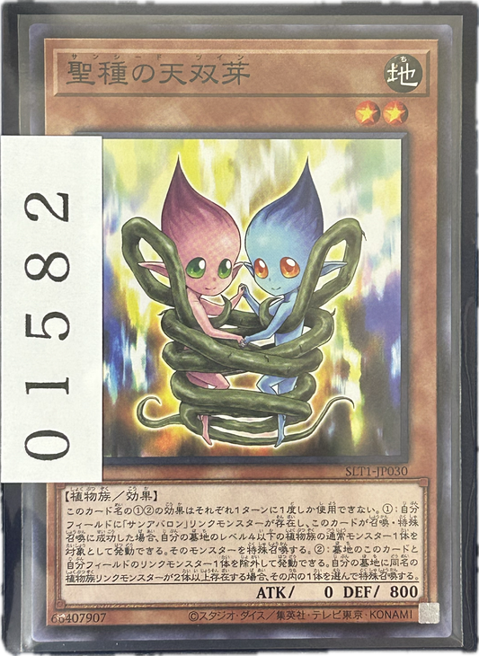 ストレージ①-01582