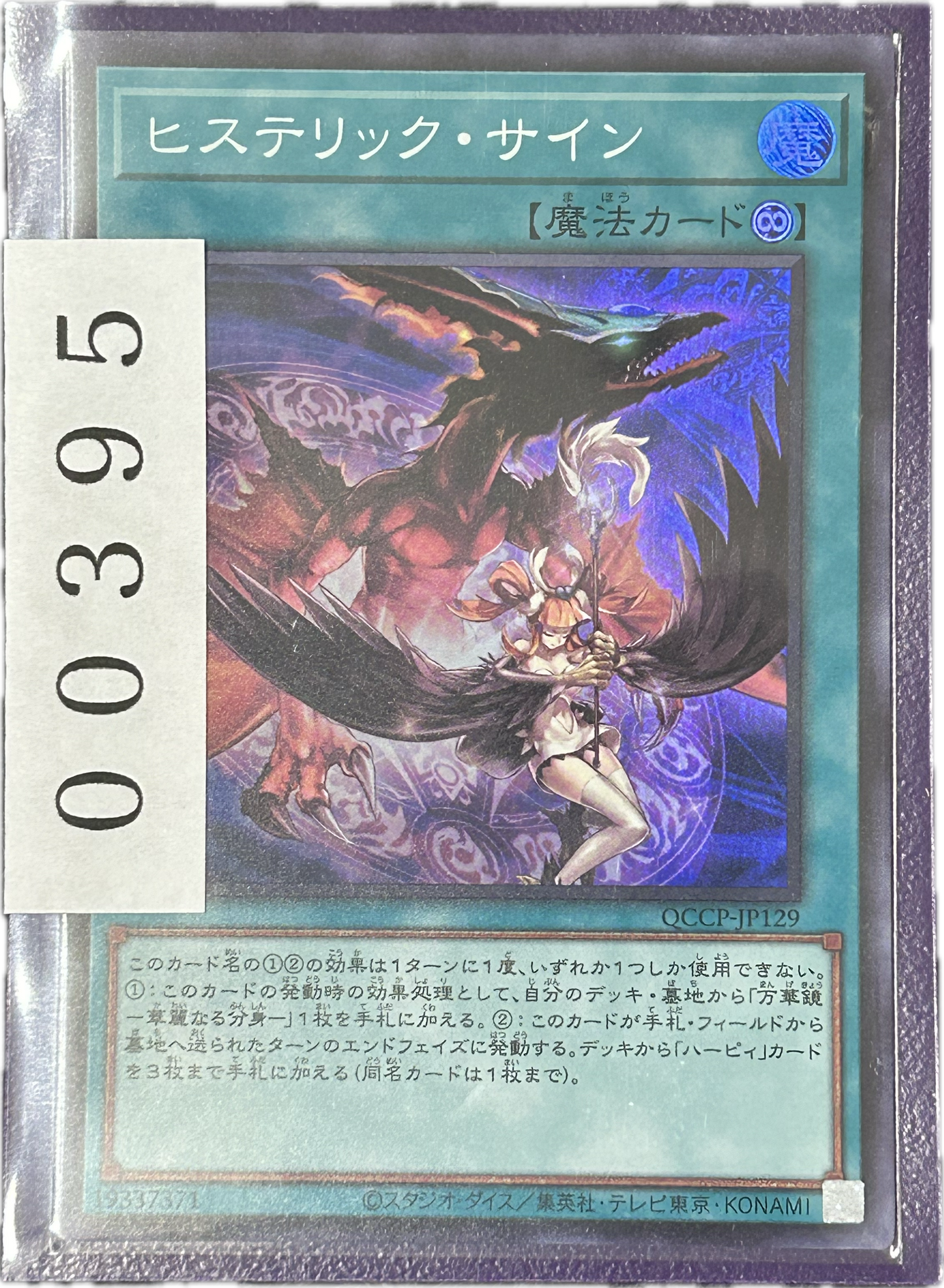 ストレージ①-00395
