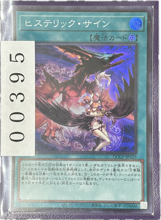 ストレージ①-00395