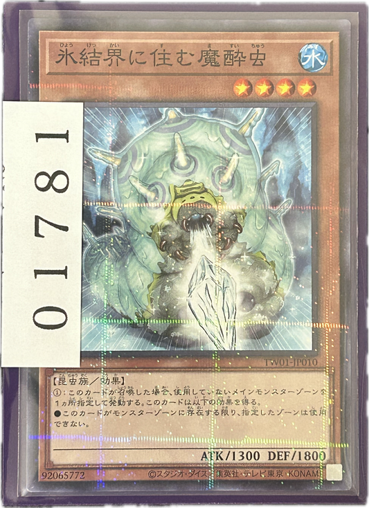 ストレージ①-01781