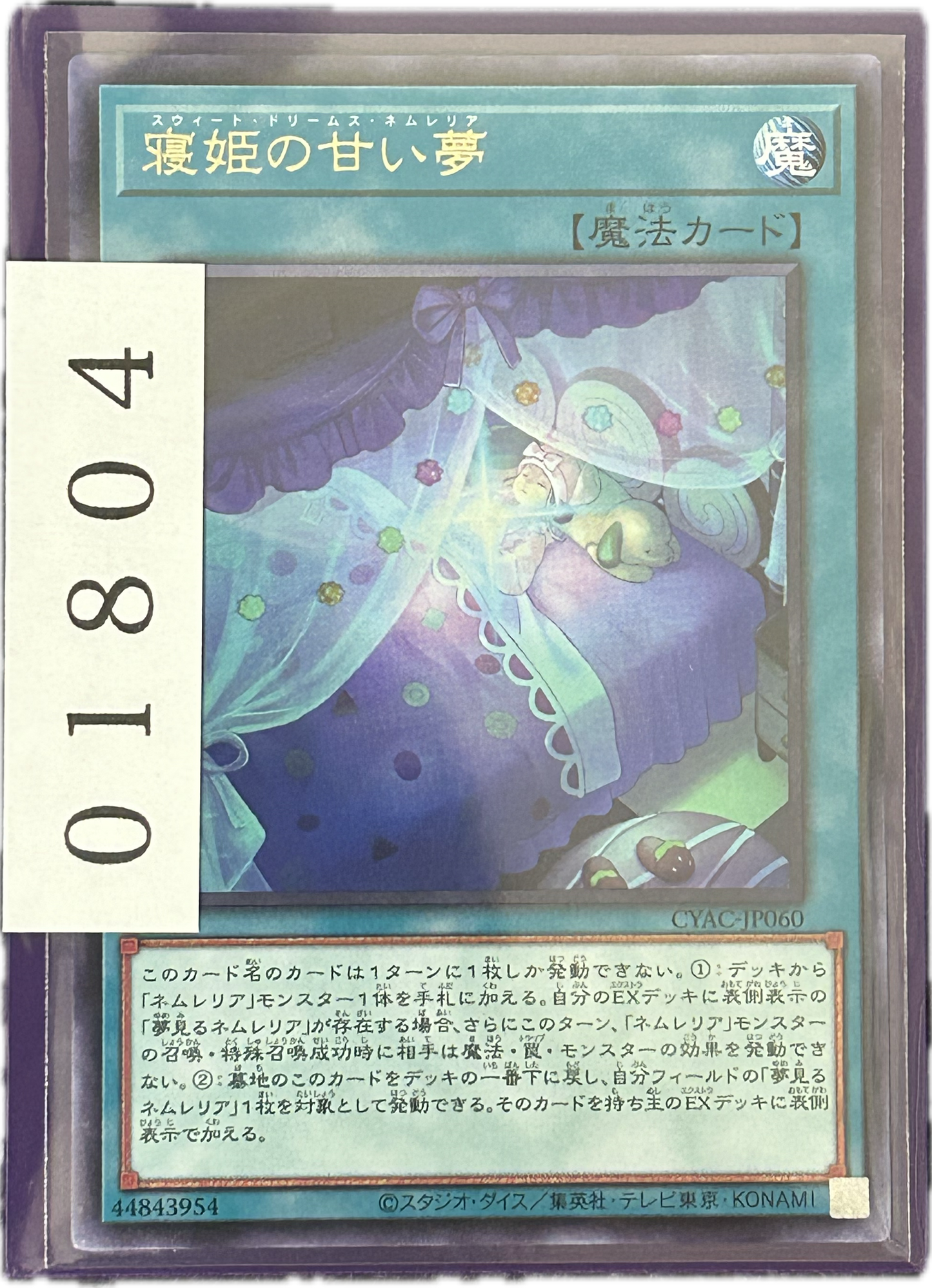 ストレージ①-01804