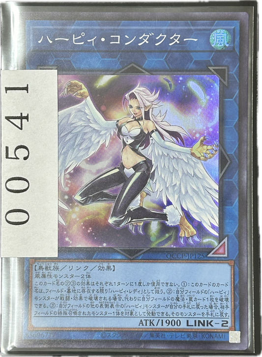 ストレージ①-00541