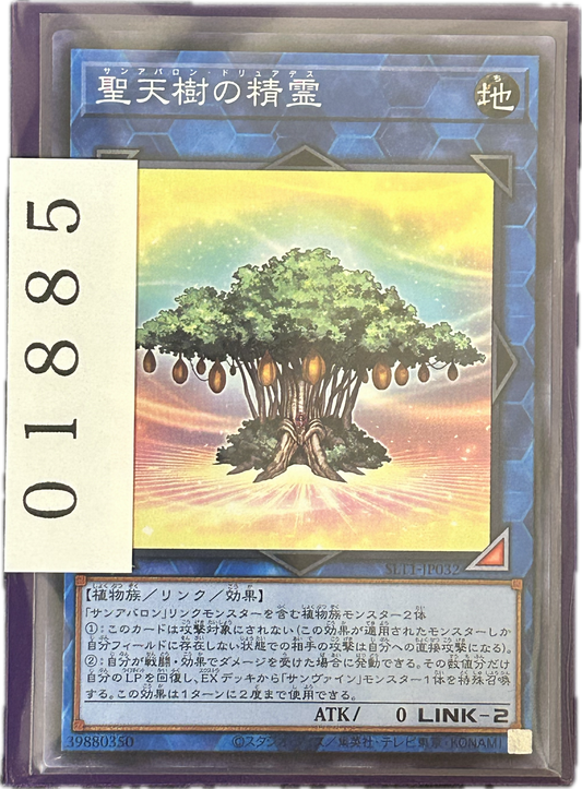 ストレージ①-01885