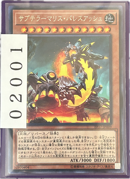 ストレージ①-02001