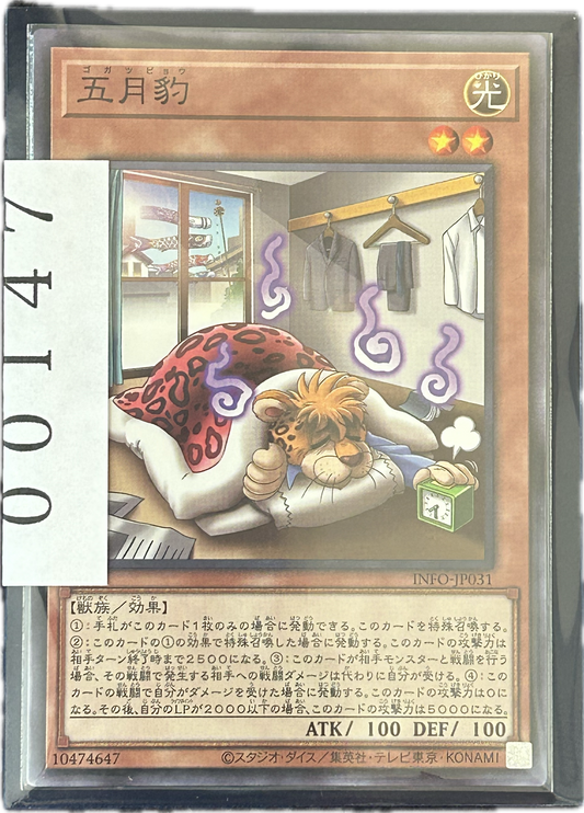 ストレージ①-00147