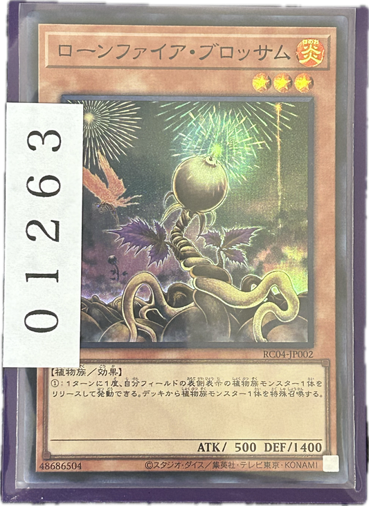 ストレージ①-01263