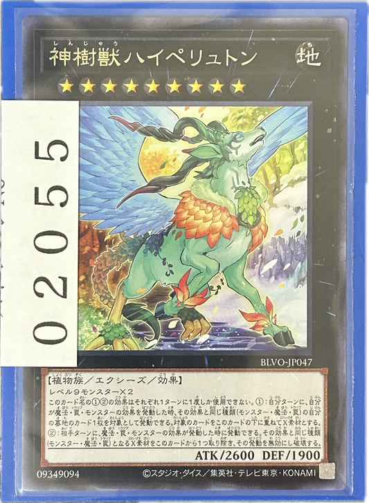 ストレージ①-02055