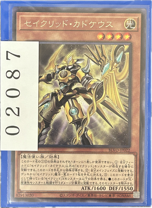 ストレージ①-02087