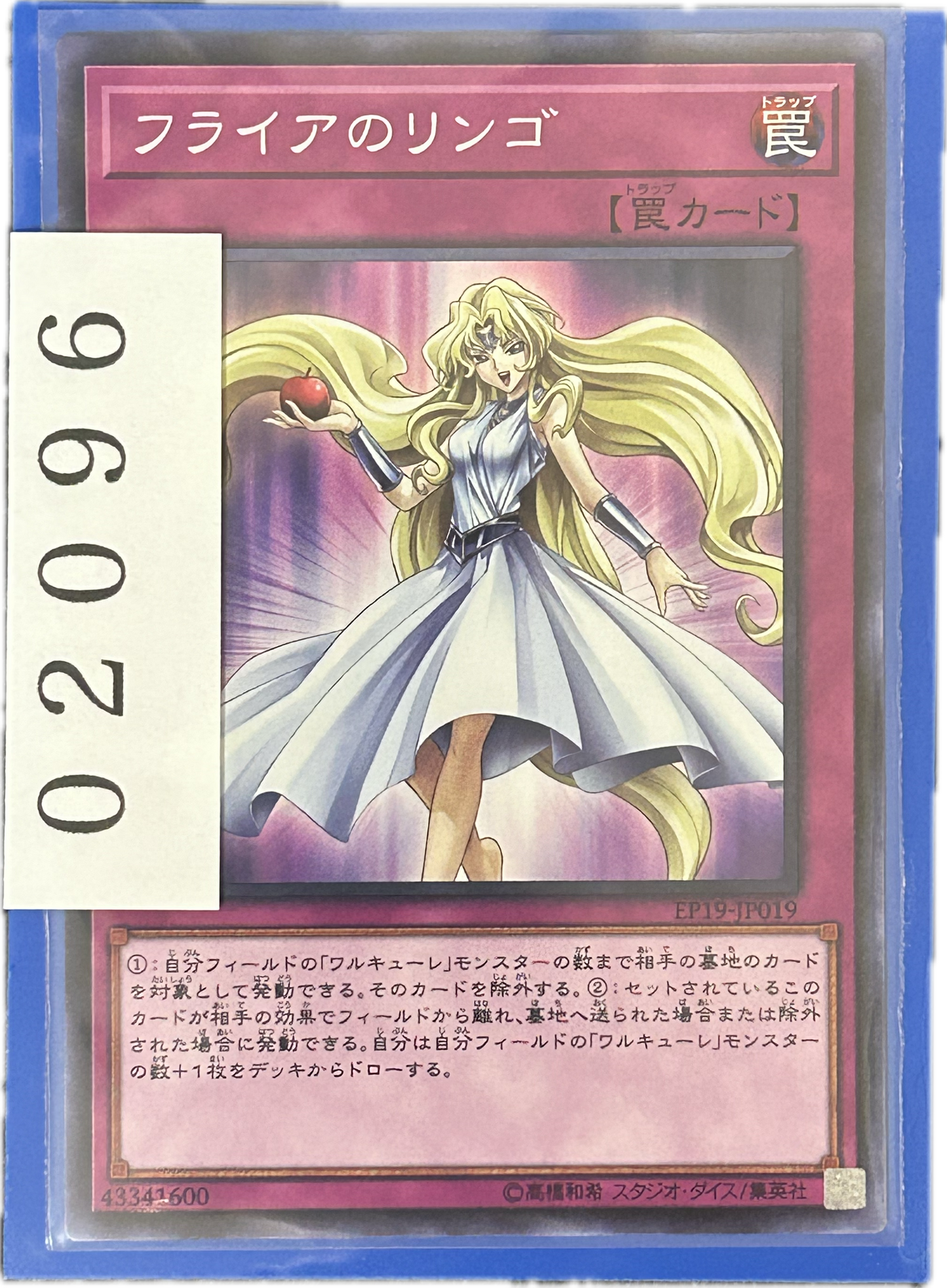 ストレージ①-02096