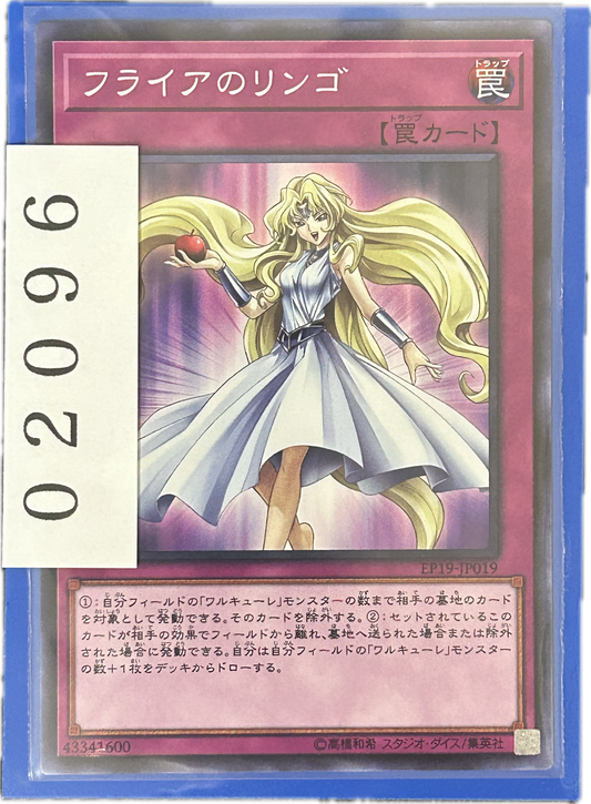 ストレージ①-02096