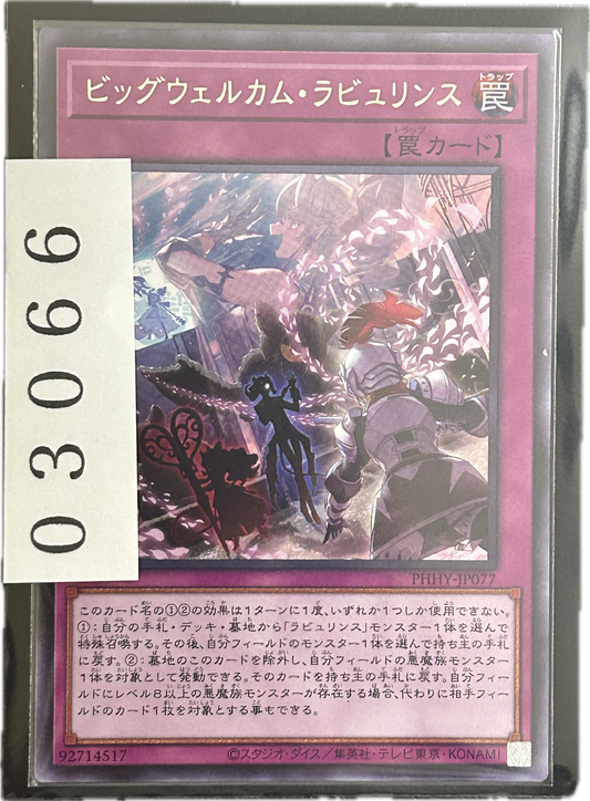 ストレージ①-03066