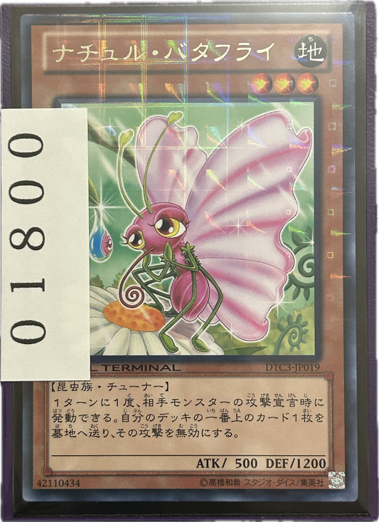 ストレージ①-01800