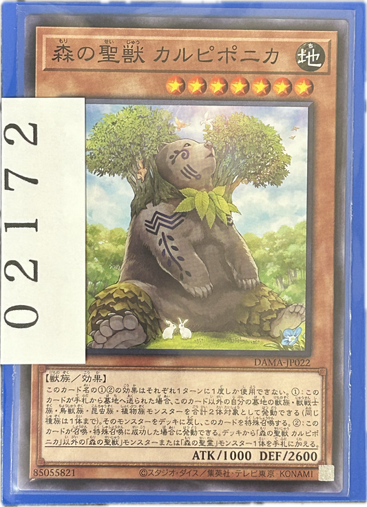 ストレージ①-02172