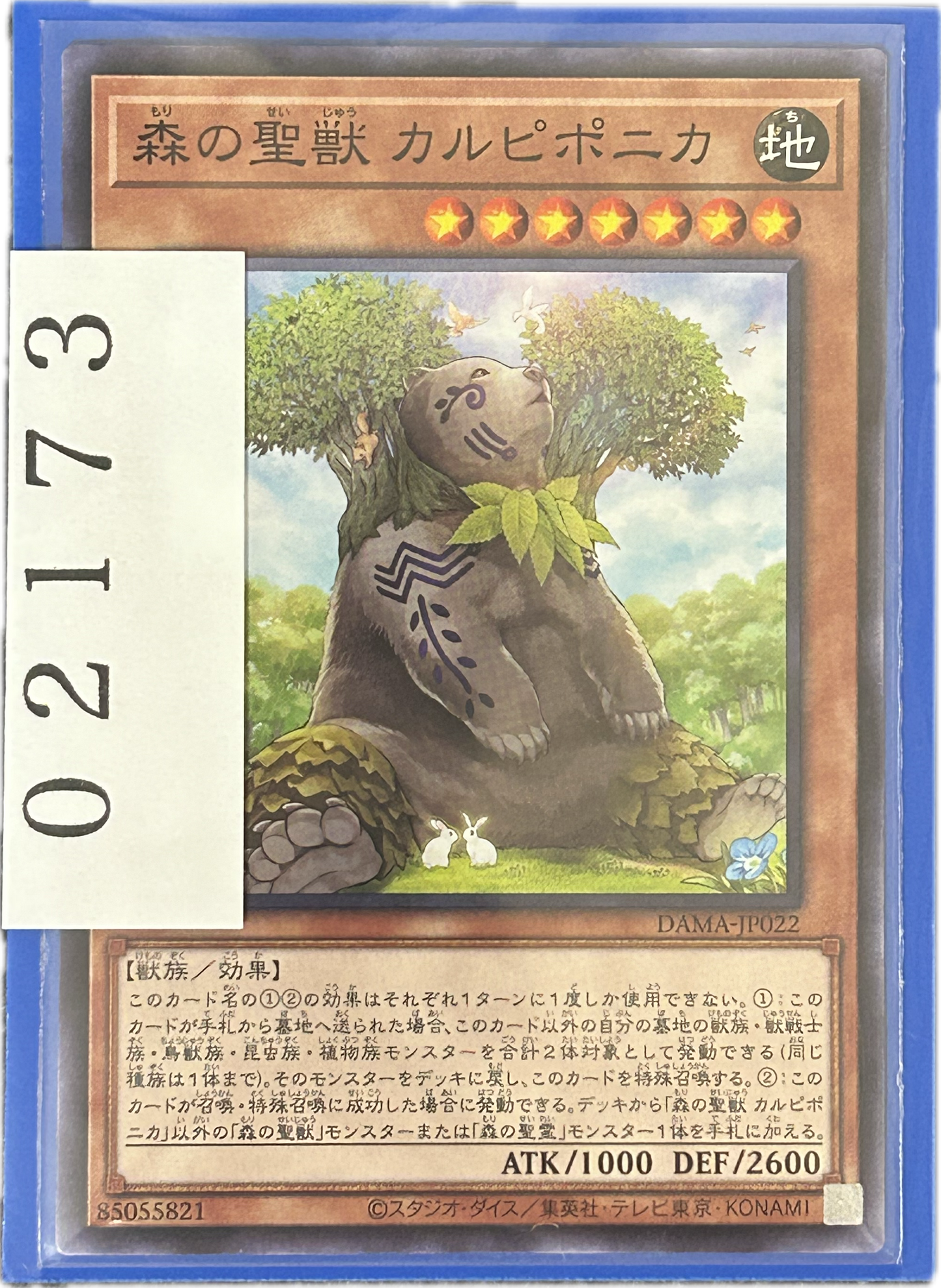 ストレージ①-02173