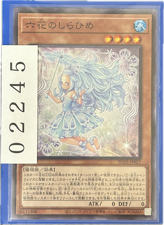 ストレージ①-02245