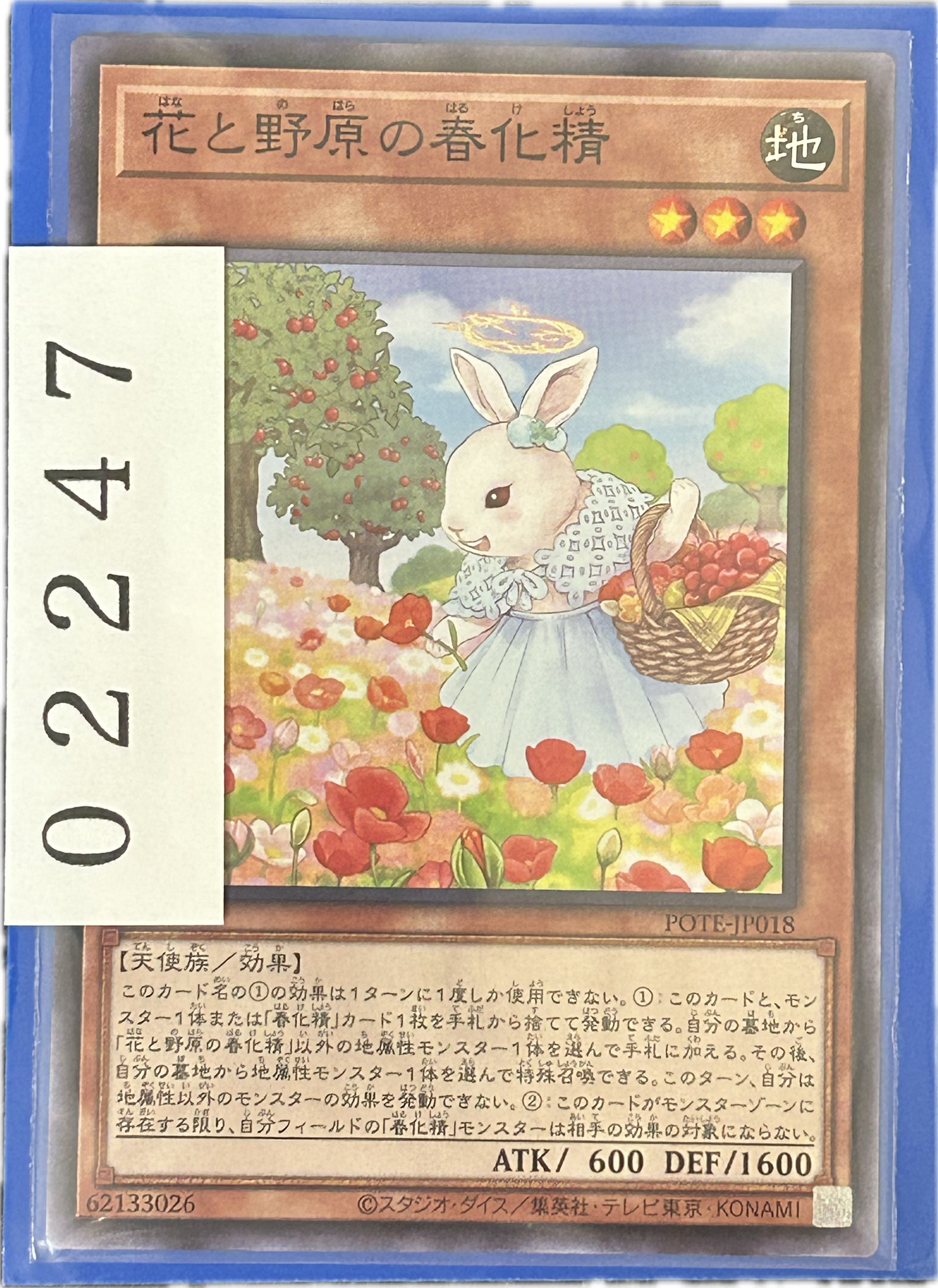 ストレージ①-02247