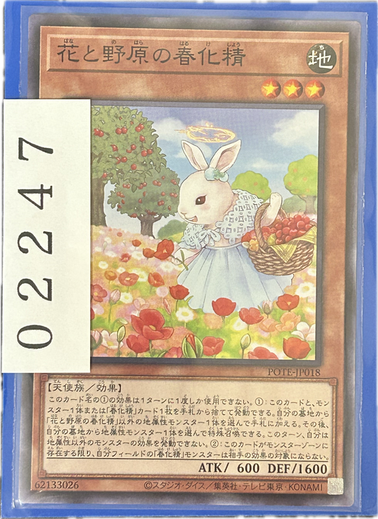 ストレージ①-02247