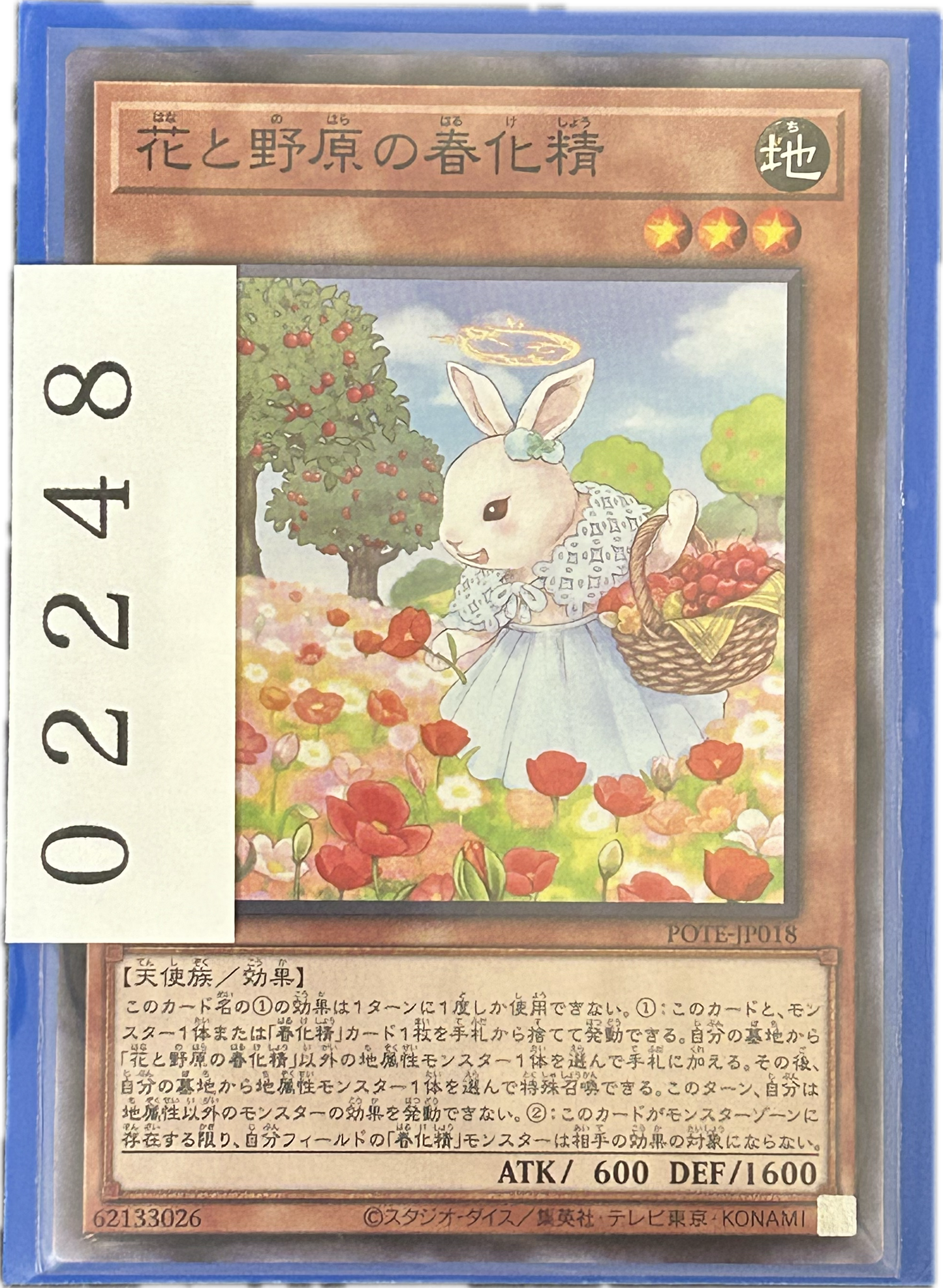 ストレージ①-02248