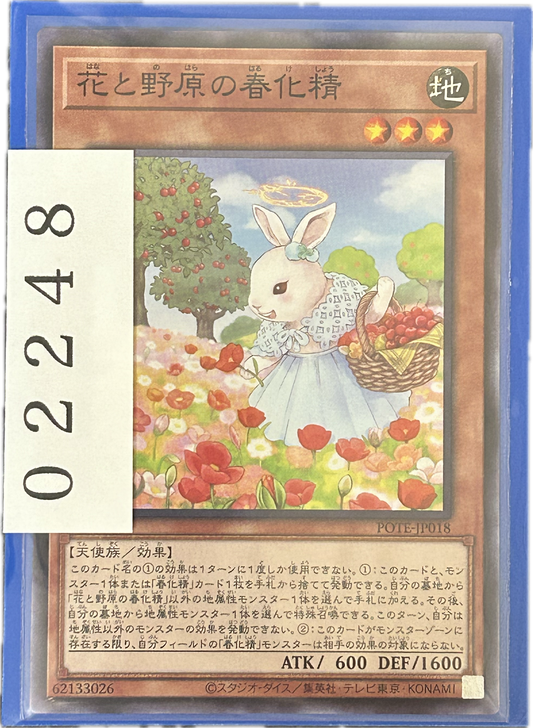 ストレージ①-02248