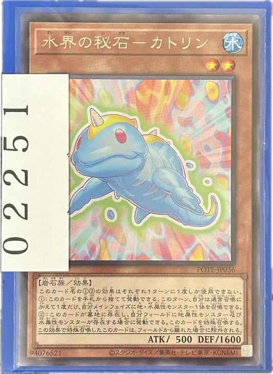 ストレージ①-02251