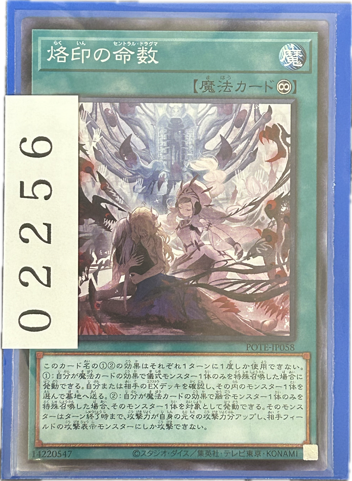 ストレージ①-02256