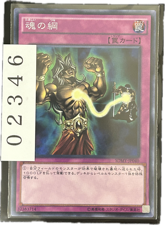 ストレージ①-02346