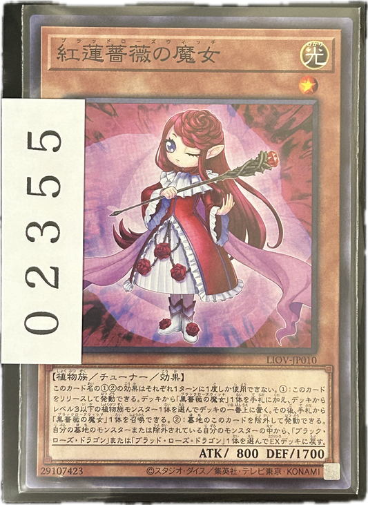 ストレージ①-02355